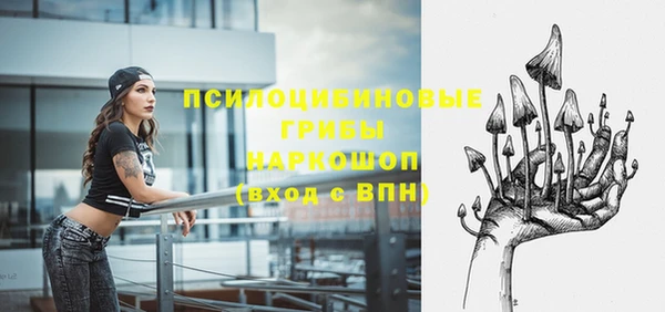 первитин Протвино