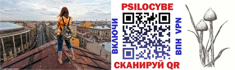 Купить  Спасск  Псилоцибиновые грибы Magic Shrooms 