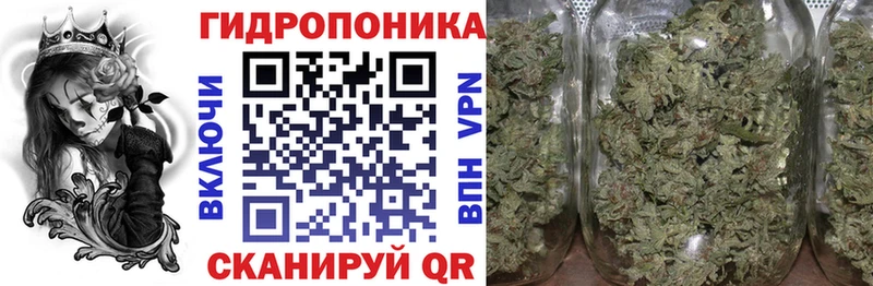 Купить где  Спасск  Шишки марихуана план 